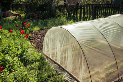 What are the best tips for building DIY Greenhouse?