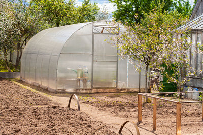 How to build your own greenhouse? Here are 5 steps