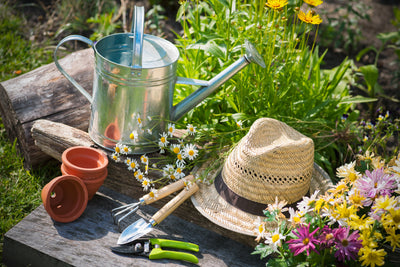 8 tips to save your garden through the summer heat waves
